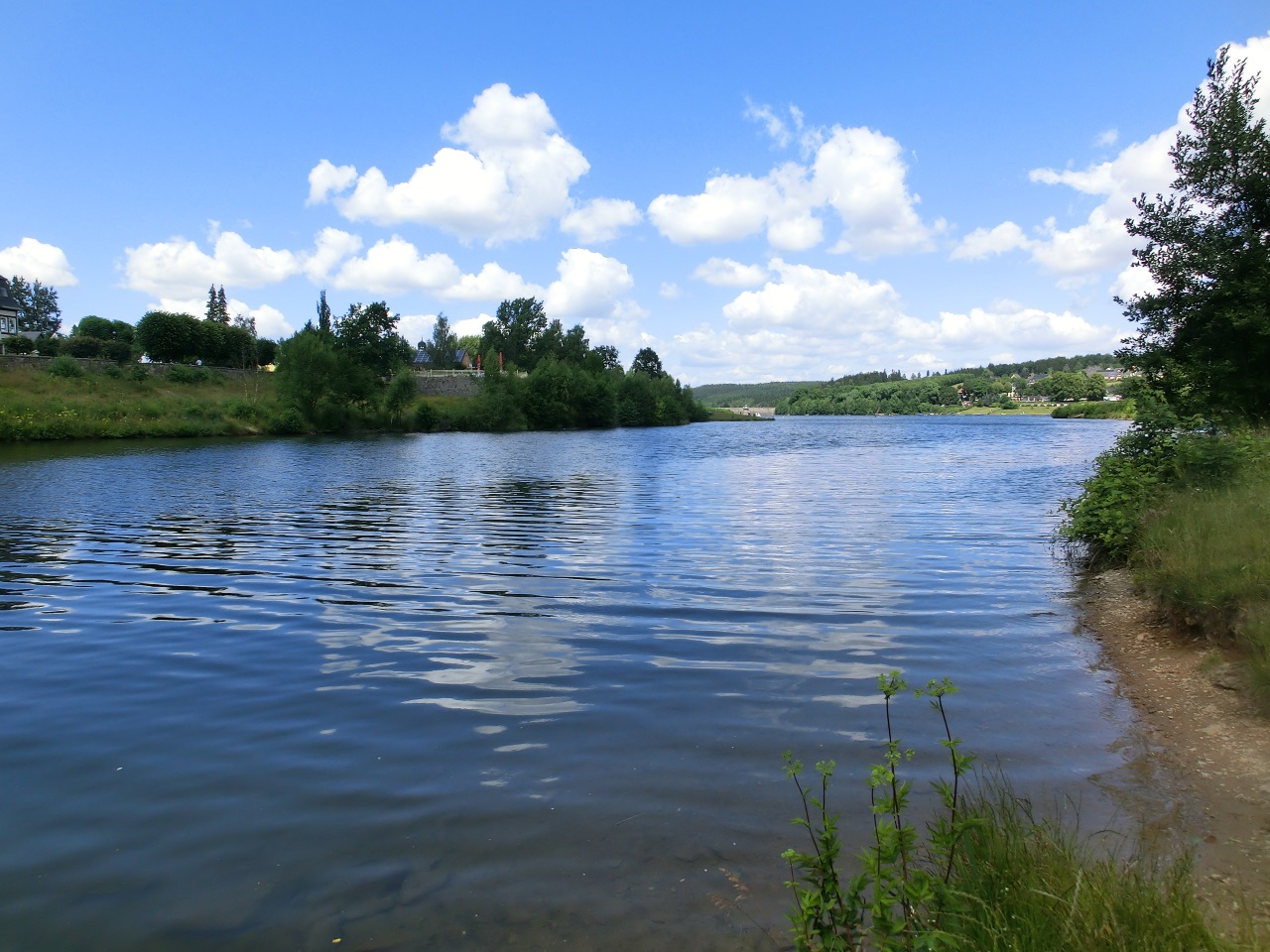 Galeriebild
