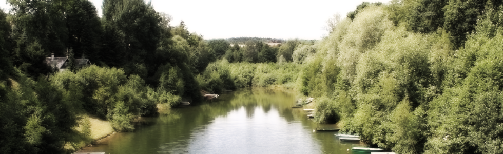 Grüner Uferbereich an der Talsperre